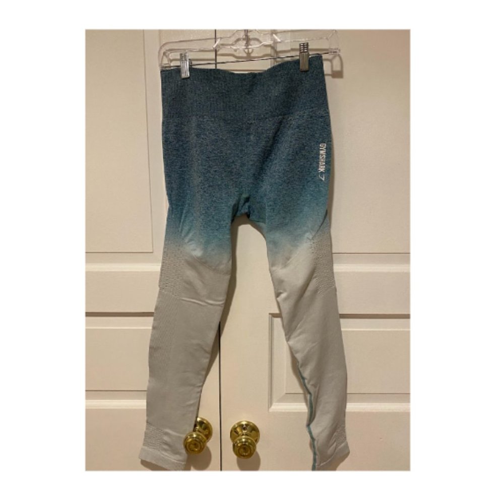 Gymshark Teal Adapt Ombre Seamless Leggings